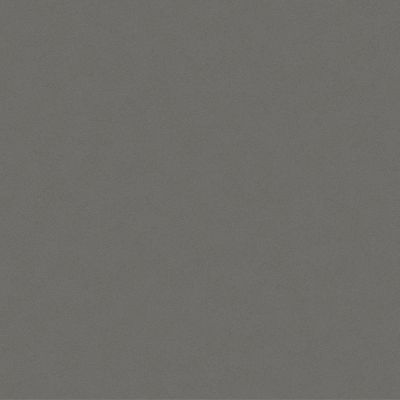 Gris Expo