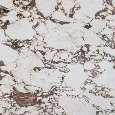 Stratus Porcelain: Calacatta Viola