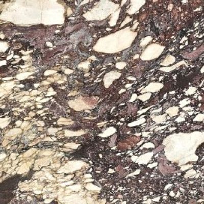Calacatta Viola Antico Premium